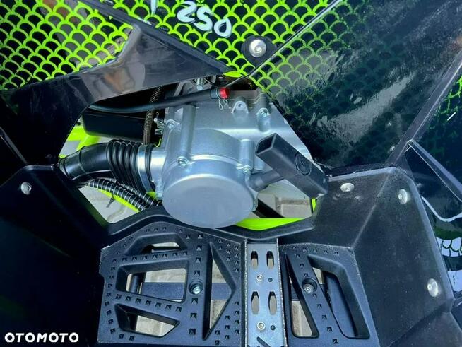 Inna Inny Quad ATV BRT BARACUDA 250 AUTOMAT Wyciągarka Podświetlenie Chłodnica