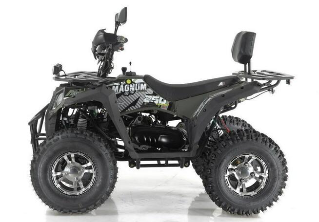 Inna Inny Quad ATV APOLLO MAGNUM Premium Alu 250cc LED Hak