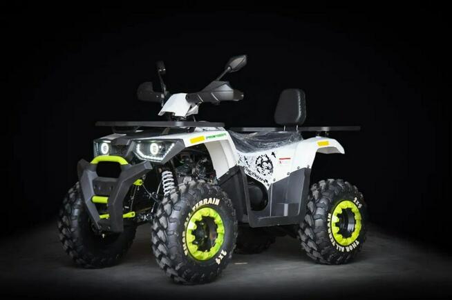 Inna Inny Quad ATV HERCULES Premium 250cc LED Licznik LCD Hak