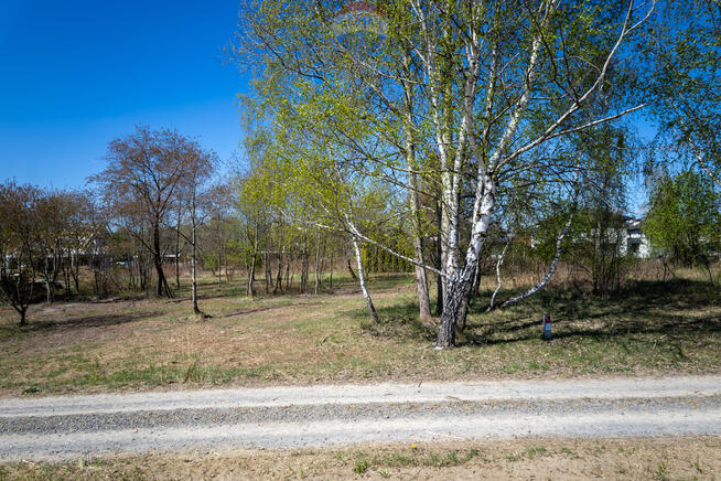 DZIAŁKA W REGUŁACH – 1268 M2 W PIĘKNEJ OKOLICY
