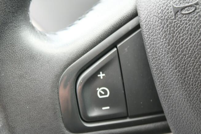 Renault Megane Salon Polska Gwarancja Serwisowana