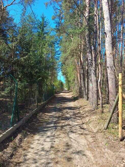 Działka rekreacyjna Jeziórko gm. Prażmów, Lipowa