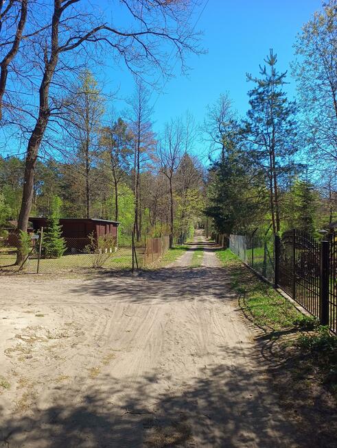 Działka rekreacyjna Jeziórko gm. Prażmów, Lipowa