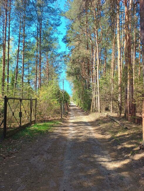 Działka rekreacyjna Jeziórko gm. Prażmów, Lipowa