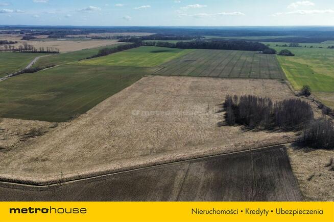 Atrakcyjna działka rolna, III klasa, 8,8 ha