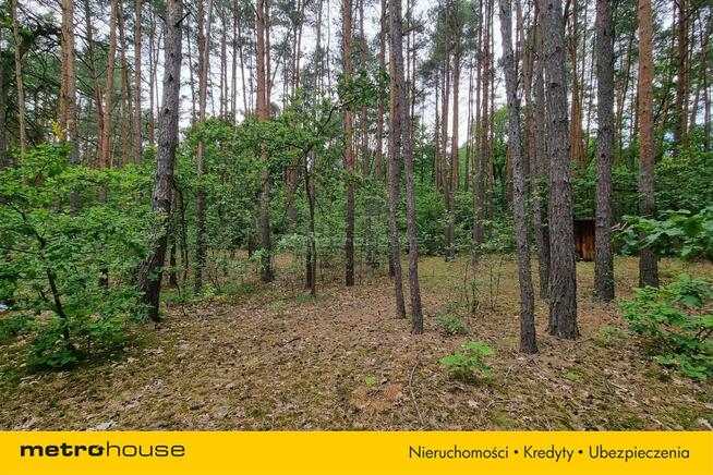 Działka Mierzwice-Kolonia
