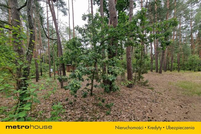 Działka Mierzwice-Kolonia