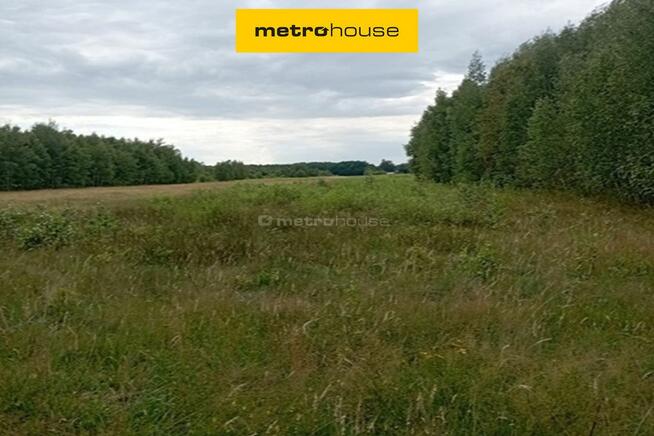 dz produkcyjno-usługowa bud wielkopowierzchniowe