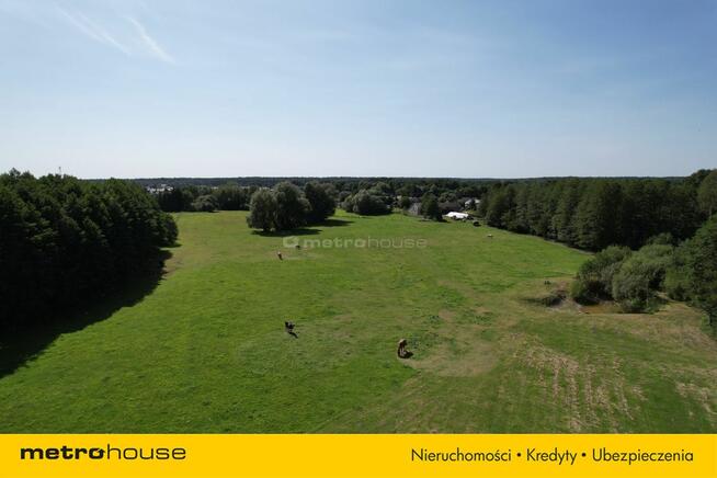 Tani dom 200m2 z działką 4200m2 w Chotyłowie