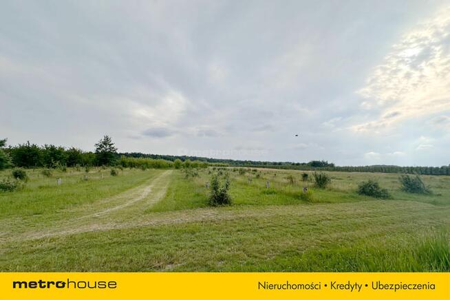 5 ha w jednym kawałku - Potycz, 40 km od Warszawy