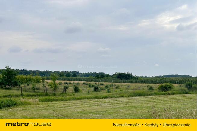 5 ha w jednym kawałku - Potycz, 40 km od Warszawy