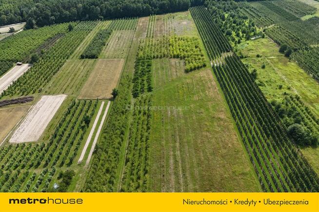 5 ha w jednym kawałku - Potycz, 40 km od Warszawy
