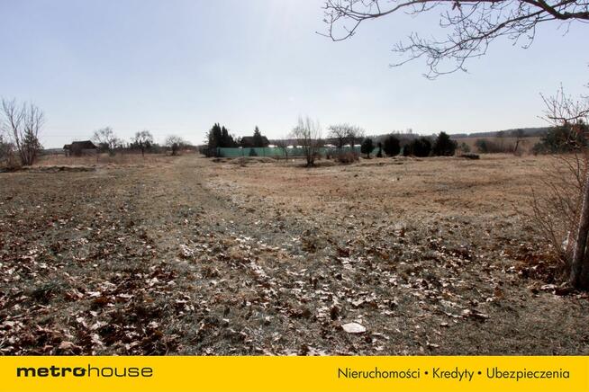 Mieszkanie 55 m² + około 800 m2 ziemi -Słosinko