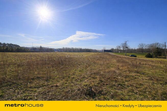 Działka usługowa 10 000 m² w Nieżywięciu okazja!