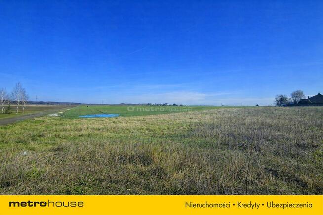 Działka usługowa 10 000 m² w Nieżywięciu okazja!