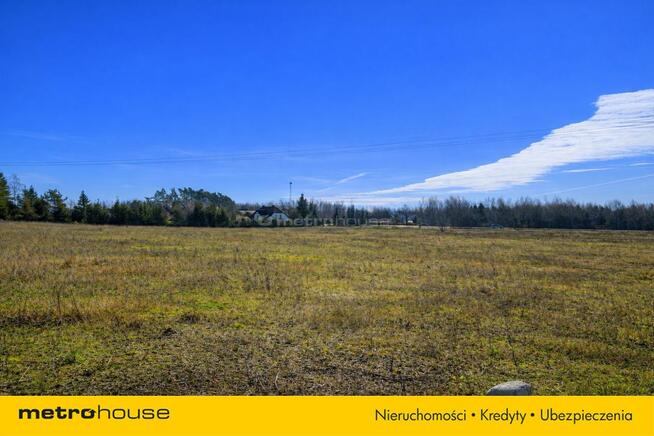 Działka usługowa 10 000 m² w Nieżywięciu okazja!