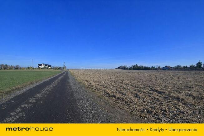 Działka usługowa 10 000 m² w Nieżywięciu okazja!