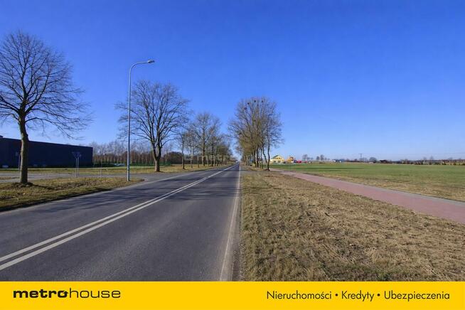 Działka usługowa 10 000 m² w Nieżywięciu okazja!