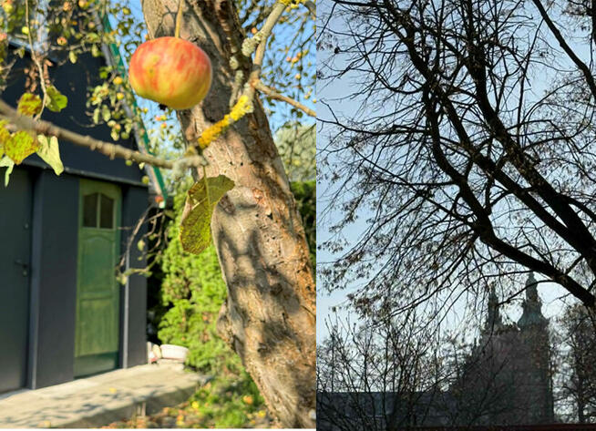 DZIAŁKA NA SPRZEDAŻ TARNOBRZEG