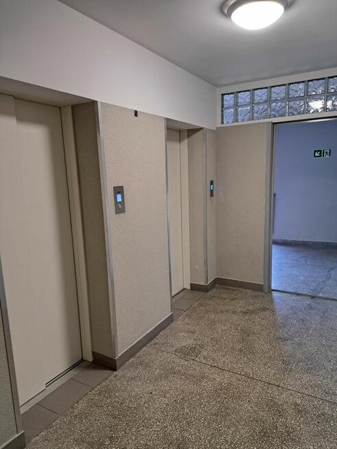 Wynajmę przytulne mieszkanie 31m2