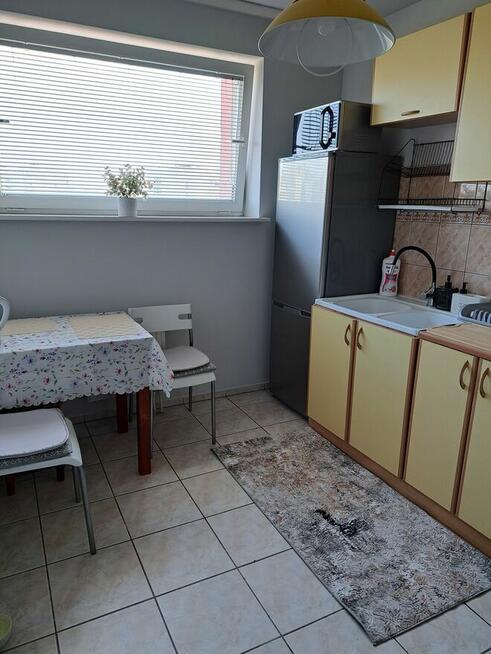 Wynajmę przytulne mieszkanie 31m2