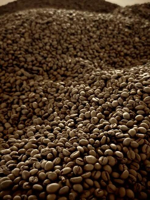 Kawa palona ziarnista 100% Arabica (Brazylia)