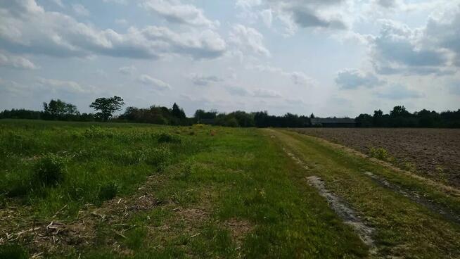 Działka budowlana 14 arów w Leśniczówce