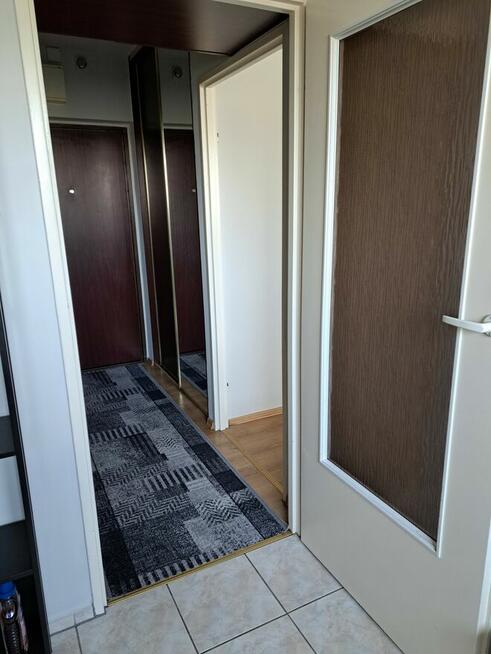 Wynajmę przytulne mieszkanie 31m2
