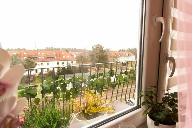 2 POK jasne - rozkładowe BALKON