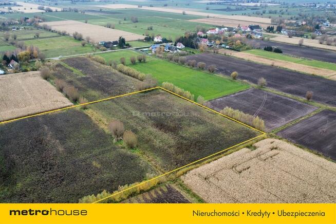 Działka w Krzewsku spokój, inwestycja, przyszłość