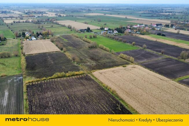 Działka w Krzewsku spokój, inwestycja, przyszłość