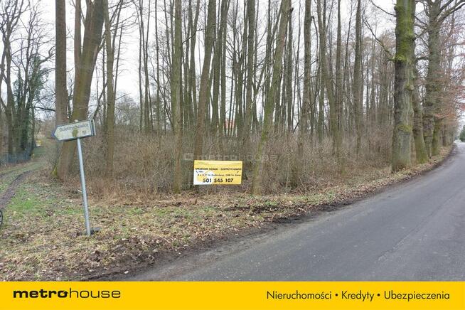 Działka Dzietrzychowice
