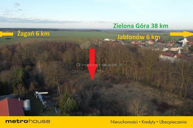 Działka blisko Pałacu - Dzietrzychowice k/Żagania