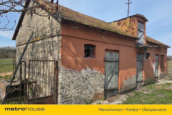 Dom, budynek gospodarczy, duża działka, Feliksów