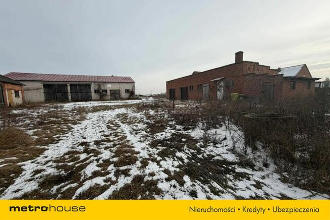 Gospodarstwo- siedlisko na sprzedaż. Zapraszam