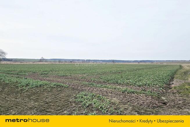 DUŻA DZIAŁKA MIESZKALNO - USŁUGOWA W KROKOWEJ