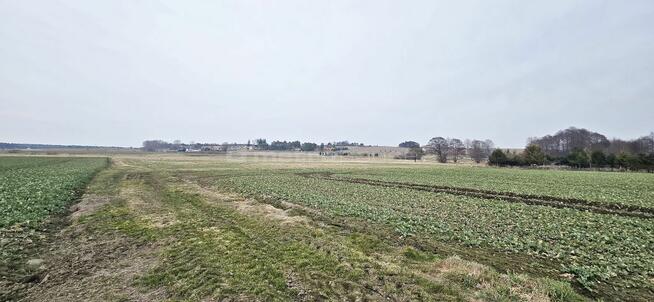 DUŻA DZIAŁKA MIESZKALNO - USŁUGOWA W KROKOWEJ