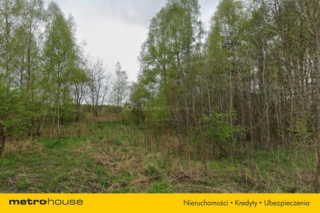Na sprzedaż działka 2,38ha Kunica Stara