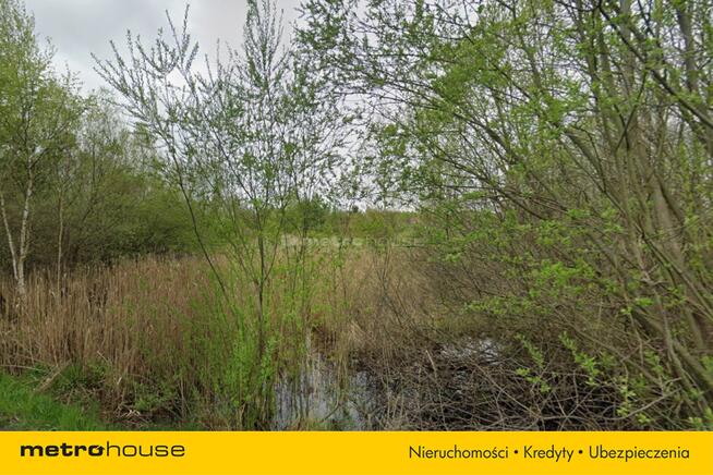 Na sprzedaż działka 2,38ha Kunica Stara