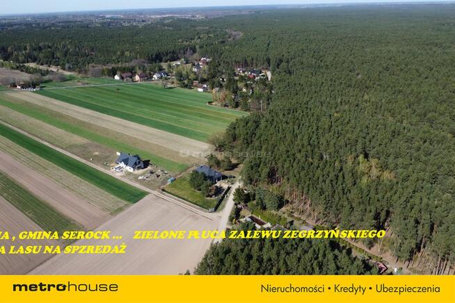 1.2 hektara - działka leśna w miejscowości Łacha