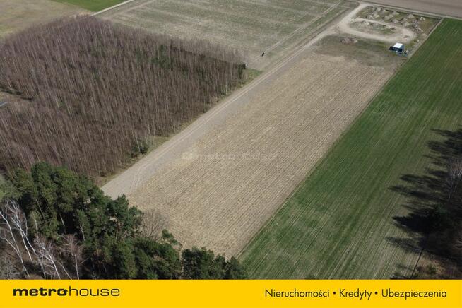 Działki budowlane, Kazimierz, natura