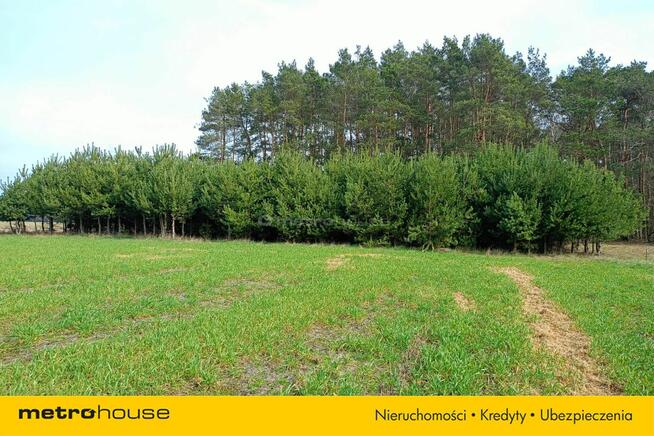 Działka orna w Uchaniu Dolnym k/Łowicza 24 000 m2