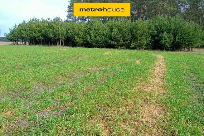 Działka orna w Uchaniu Dolnym k/Łowicza 24 000 m2