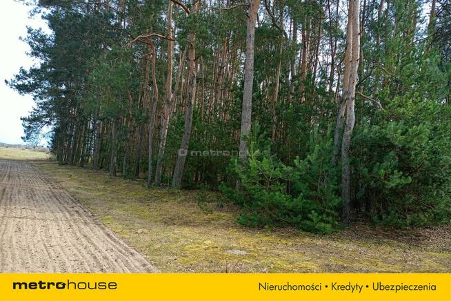 Działka orna w Uchaniu Dolnym k/Łowicza 24 000 m2