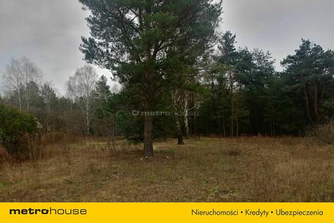 Działka rolno-leśna Skierniewice-Rawka 1 238 m2