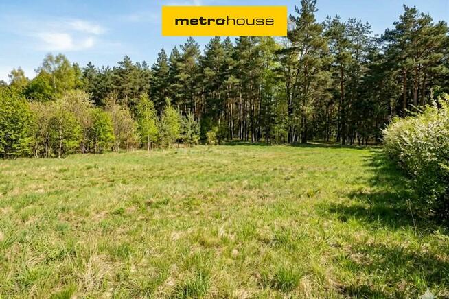 Działka rolno-leśna Skierniewice-Rawka 1 238 m2