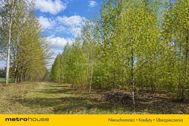 Działka budowlana,3000m2,pozwolenie,k.Skierniewice