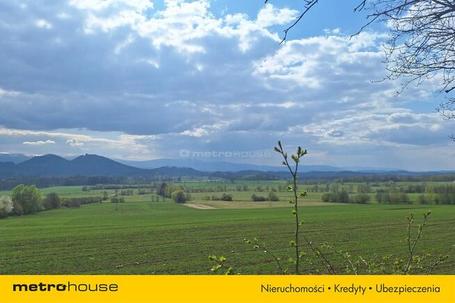Działka Janowice Wielkie, ul. Spacerowa