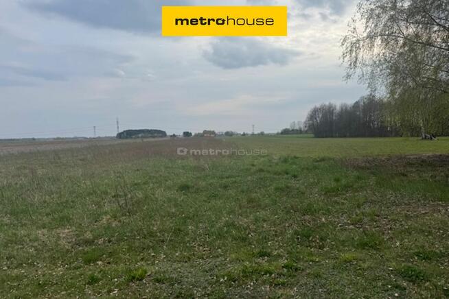 Na sprzedaż działka budowlana w Kampinosie