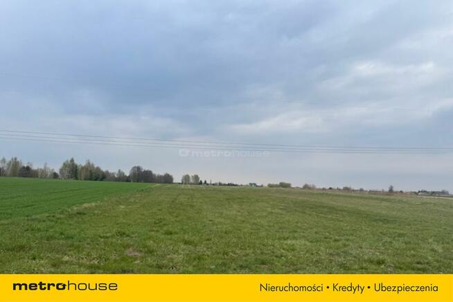 Działka Kampinos A